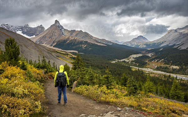 Hiker between autumnal bushes