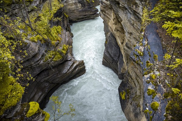 White water flowing through a gorge