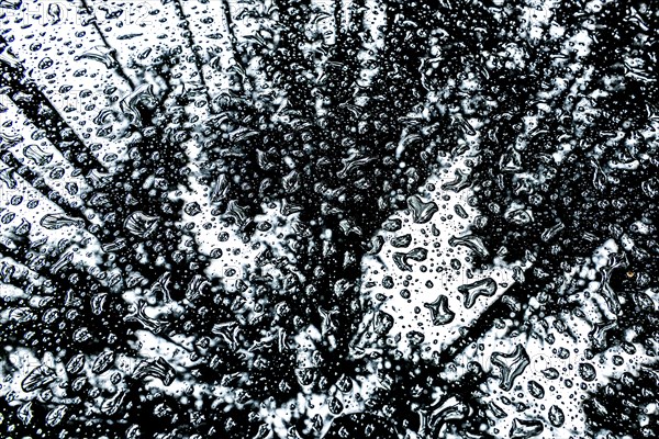 Car roof with raindrops and reflection of the forest