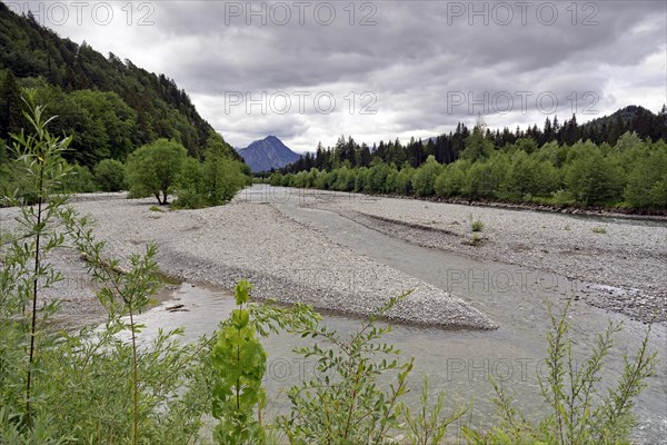 River landscape of the Iller near Fischen in the Allgaeu