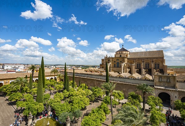 View of Patio de los Naranjos and Mezquita-Catedral de Cordoba