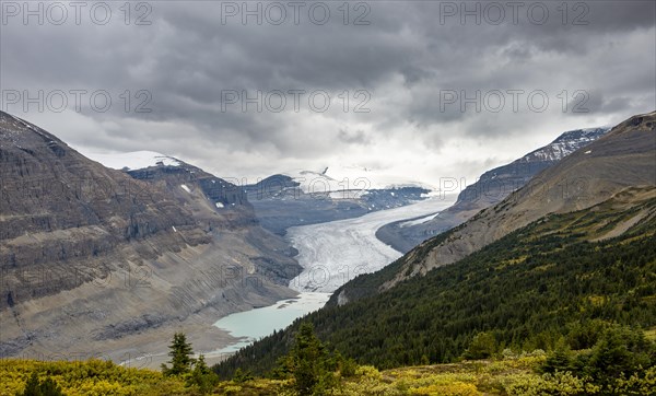 View in valley with glacier tongue