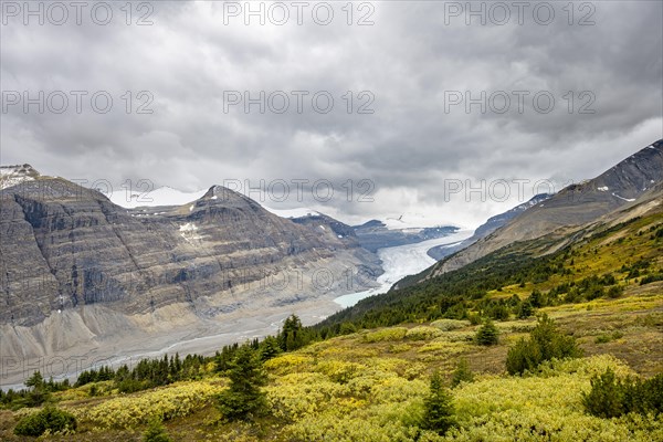 View in valley with glacier tongue