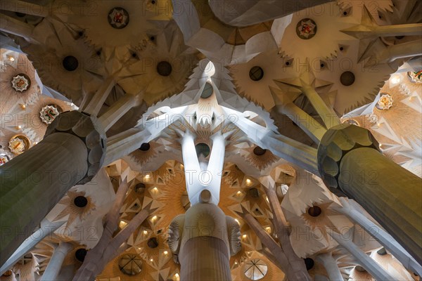 Interior of the Sagrada Familia or Basilica i Temple Expiatori de la Sagrada Familia