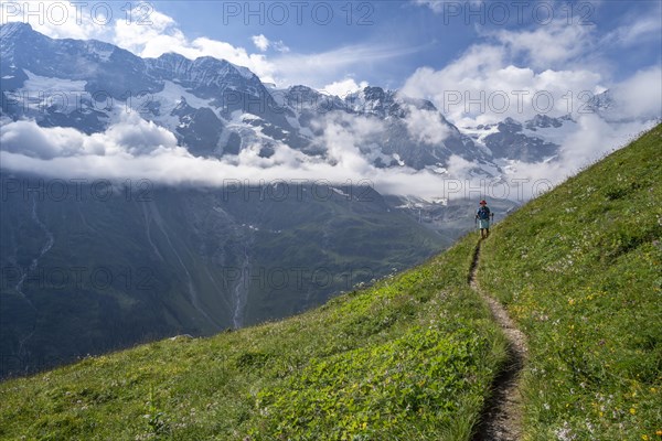 Hiker on a hiking trail