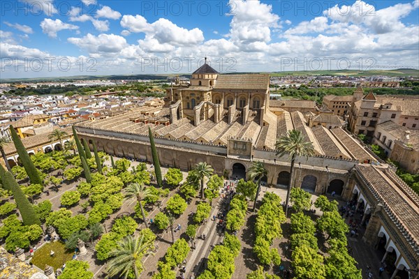 View of Patio de los Naranjos and Mezquita-Catedral de Cordoba