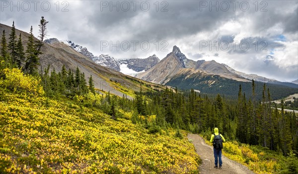 Hiker on hiking trail between autumnal bushes