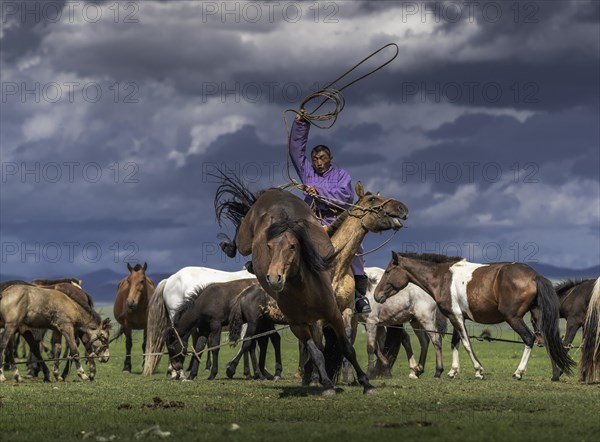 Nomad trying to catch his horse