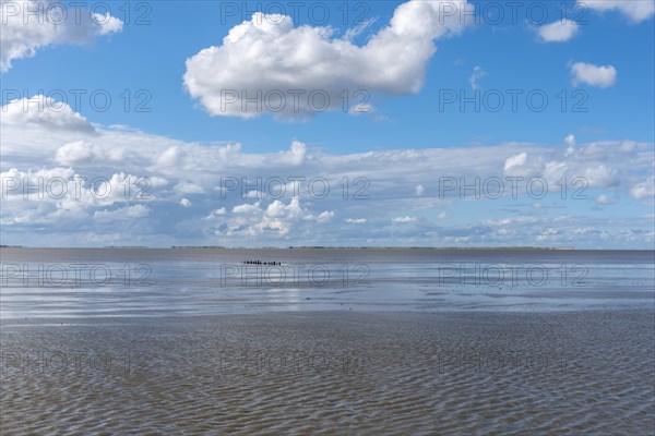 Beach at low tide