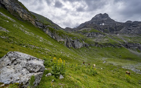 Mountain Chilchflueh