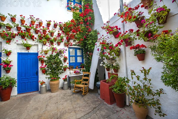 Blue entrance door in courtyard decorated with flowers