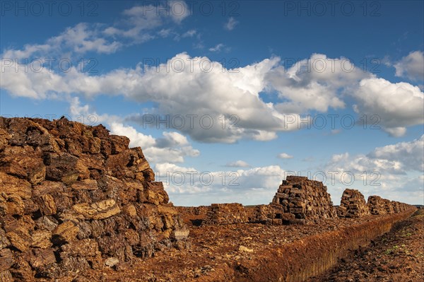 Peat cutting in the moor