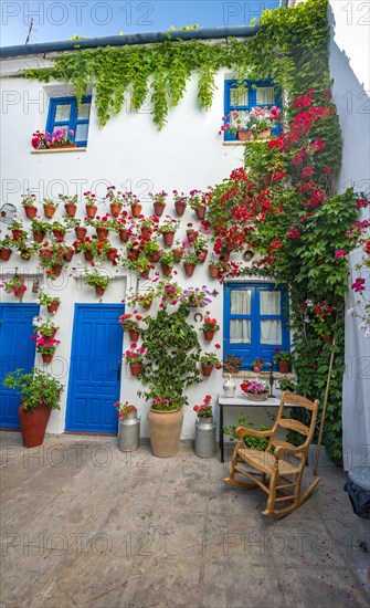 Blue entrance door in courtyard decorated with flowers