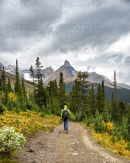 Hiker on hiking trail between autumnal bushes