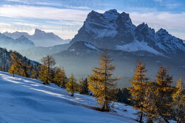 Peak of Monte Pelmo in the evening light with larch forest in the foreground