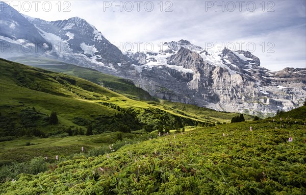 Eiger north face