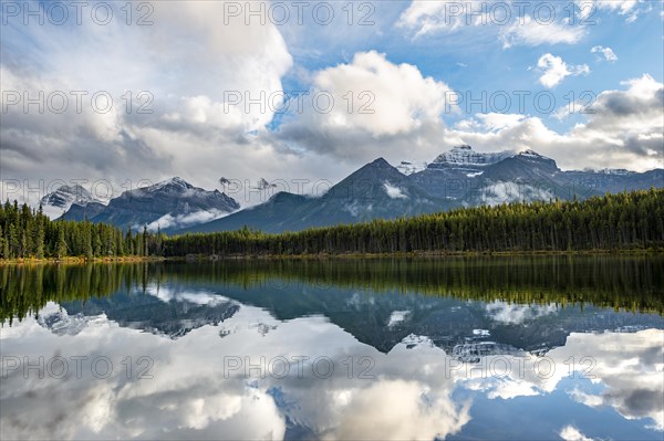 Herbert Lake