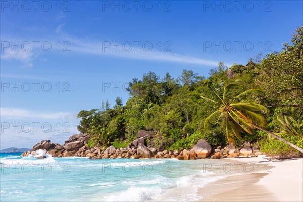 Anse Georgette beach palm sea water