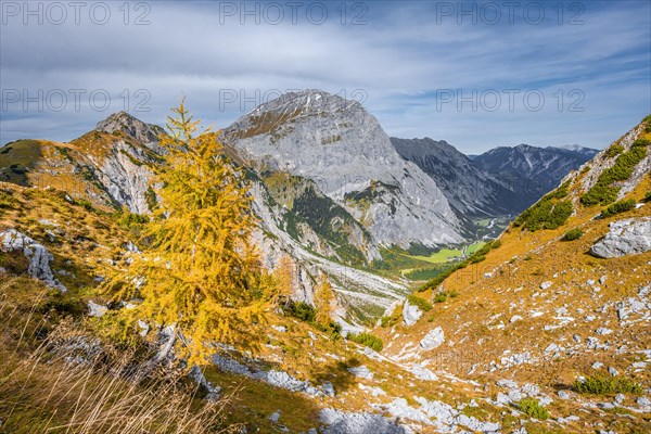 Falzthurnthal in autumn