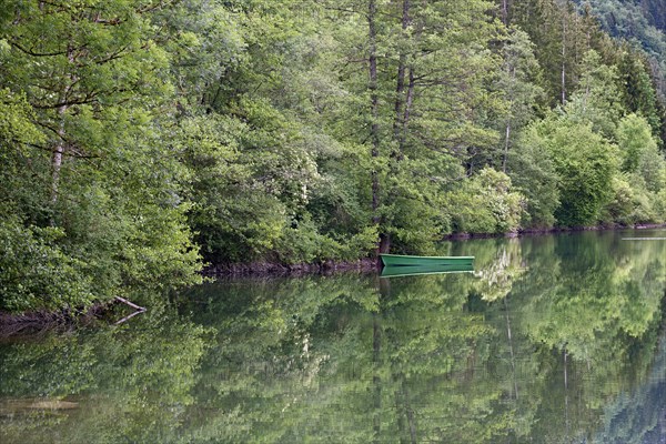 Auwaldsee