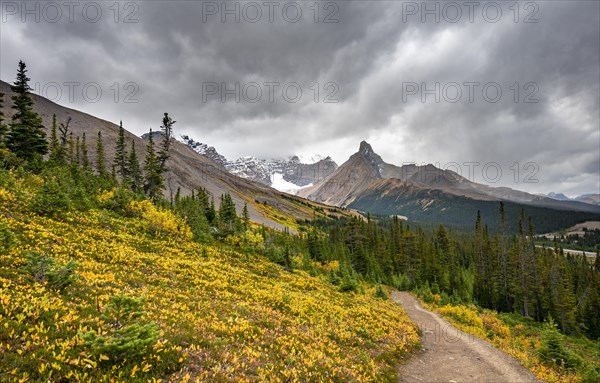 View of mountains and glaciers