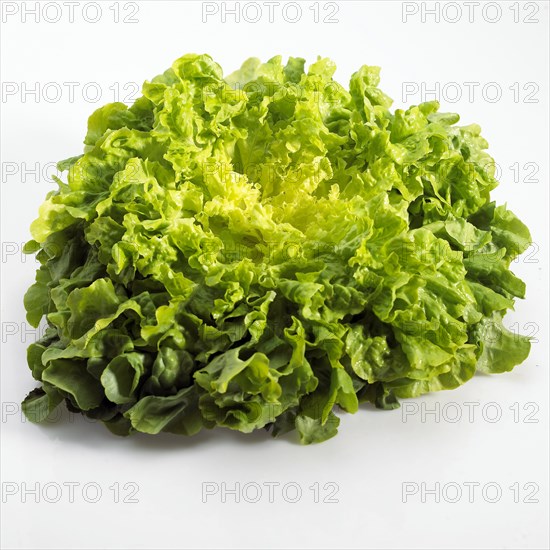 French lettuce called corne de cerf