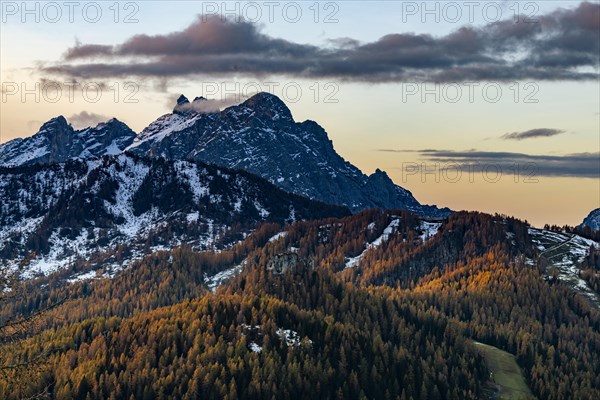 Snowy mountain peaks of the Civetta group with autumn lark forest in the foreground