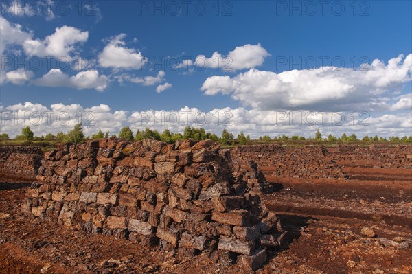 Peat cutting in the moor