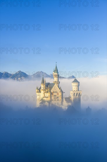 Neuschwanstein Castle in early mist in autumn