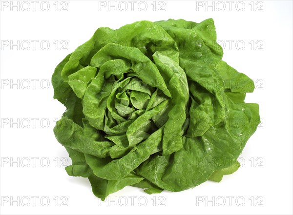 LETTUCE