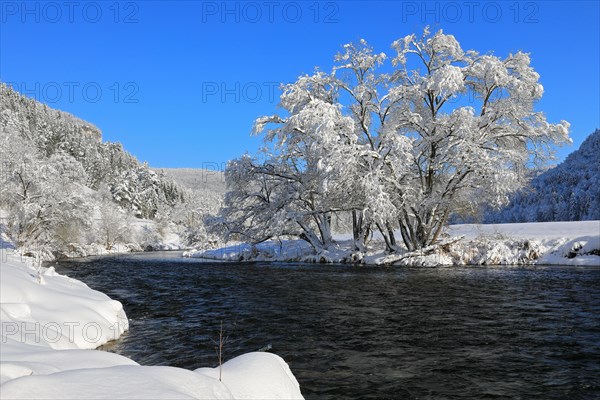 Danube