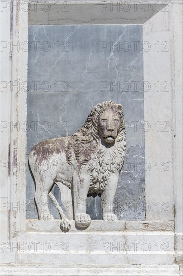 Venetian Lion