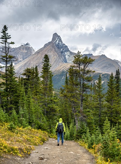 Hiker on hiking trail between autumnal bushes