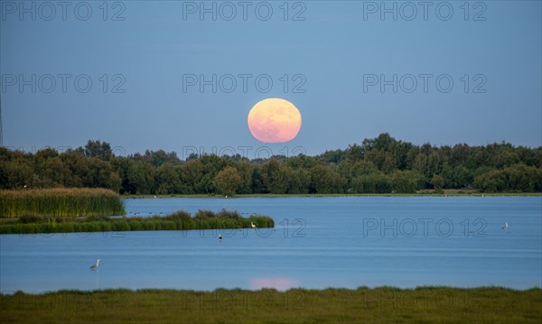 Red setting sun over a lake