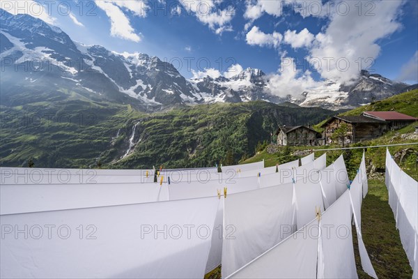 Laundry drying on a clothesline