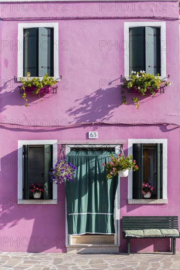 Pink house