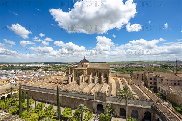 View of Patio de los Naranjos and Mezquita-Catedral de Cordoba