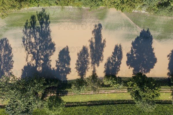 Flooded meadow next to the Isar river during high water