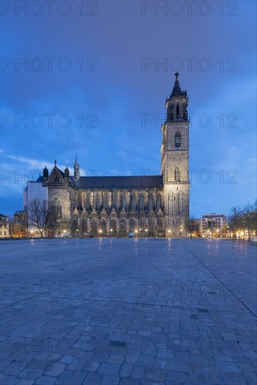 Magdeburg Cathedral at the blue hour