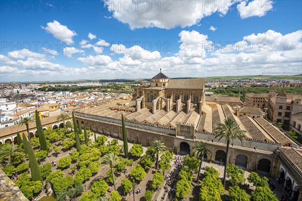 View of Patio de los Naranjos and Mezquita-Catedral de Cordoba