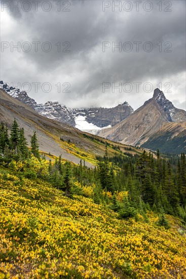 View of mountains and glaciers