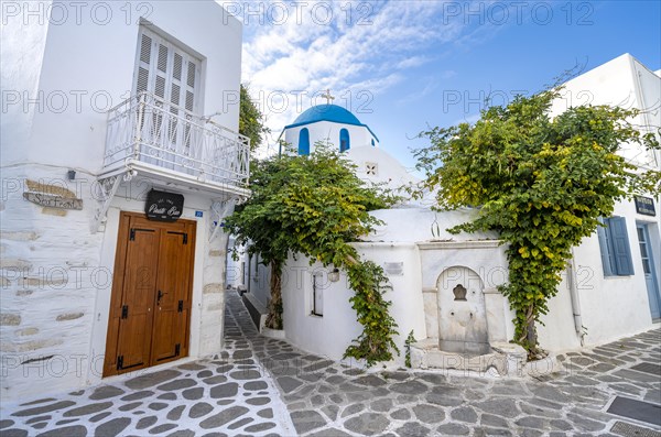 Small alley in Parikia with white houses