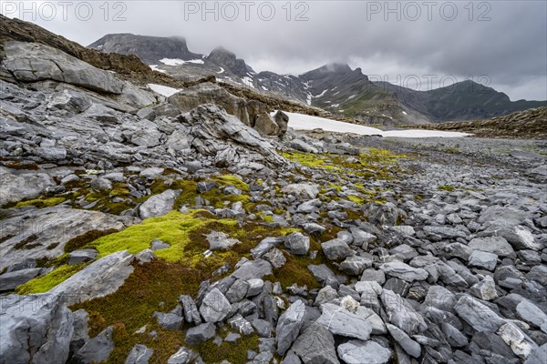 Barren alpine landscape