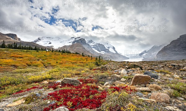 Barren autumn landscape