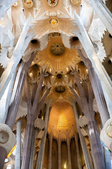 Interior of the Sagrada Familia or Basilica i Temple Expiatori de la Sagrada Familia