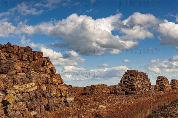 Peat cutting in the moor