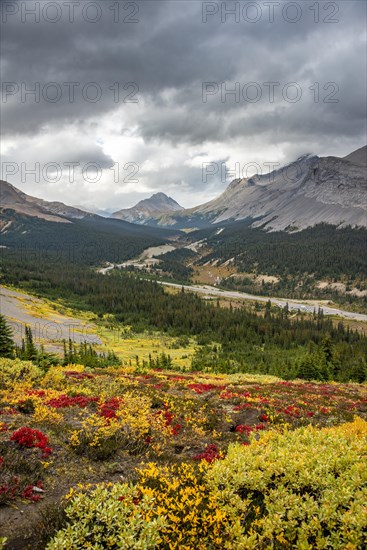 View of Mount Wilcox and Nigel Peak and Wilcox Pass in autumn