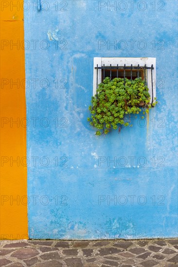 Blue house wall with window