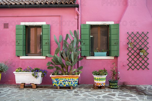Pink house with flower pots