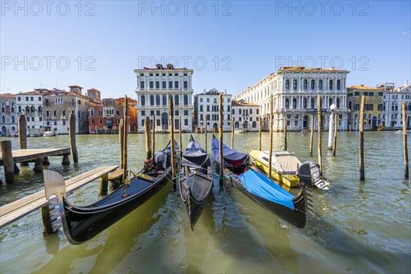 Gondolas on the Grand Canal